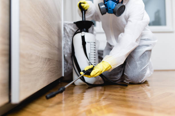 Professional Pest Control in Lowry Crossing, TX