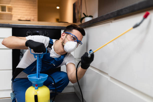 Best Rat Extermination Near Me  in Lowry Crossing, TX
