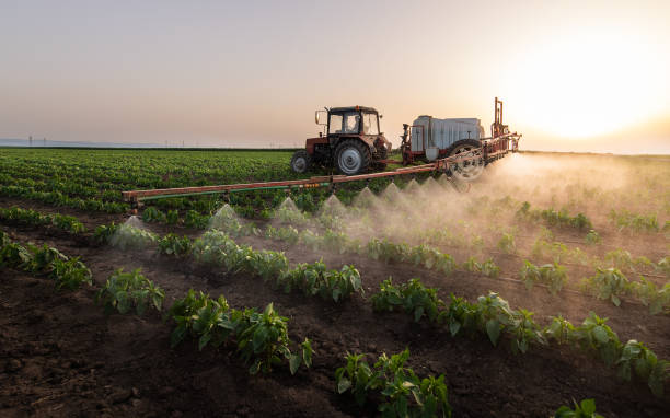 Best Ant Control Services  in Lowry Crossing, TX