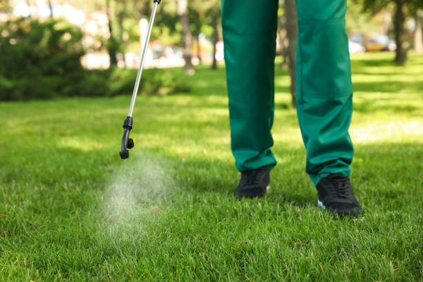 Best Affordable Pest Control Services  in Lowry Crossing, TX