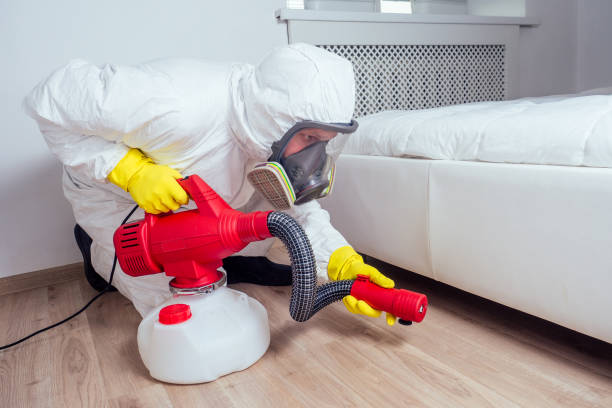 Best Rat Extermination Near Me  in Lowry Crossing, TX