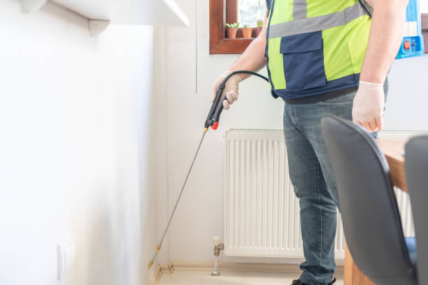 Best Wasp Removal Services  in Lowry Crossing, TX