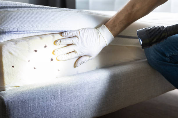 Best Wildlife Control Services  in Lowry Crossing, TX