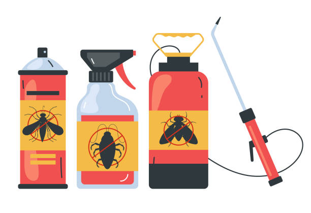Wasp Removal Services in Lowry Crossing, TX