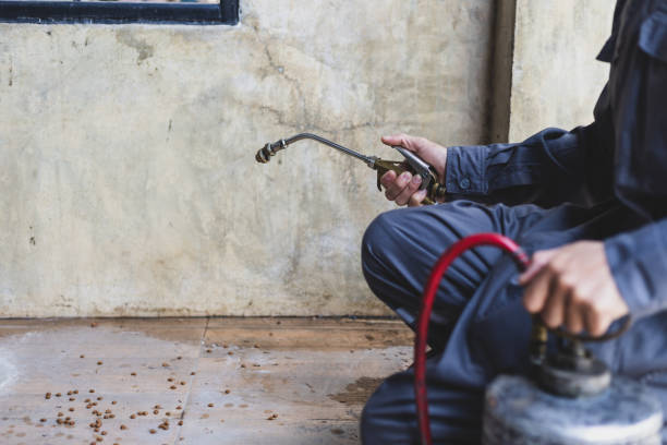 Best Residential Pest Control  in Lowry Crossing, TX