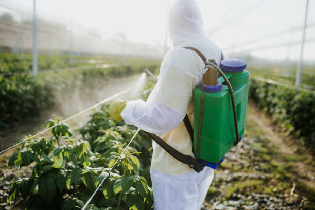 Pest Control Cost in Lowry Crossing, TX